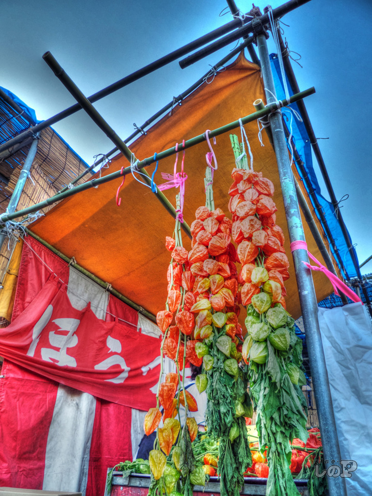 P1030498_499_500_HDR02