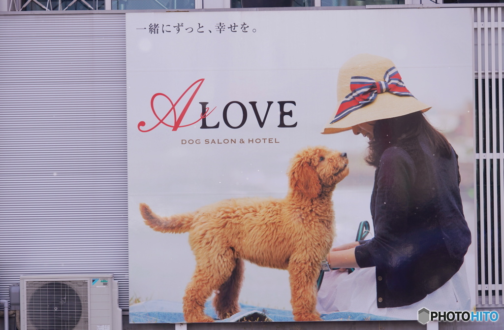 一緒にずっと、
