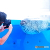 ハイ！チーズ！！