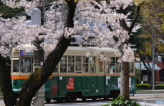 桜トラム