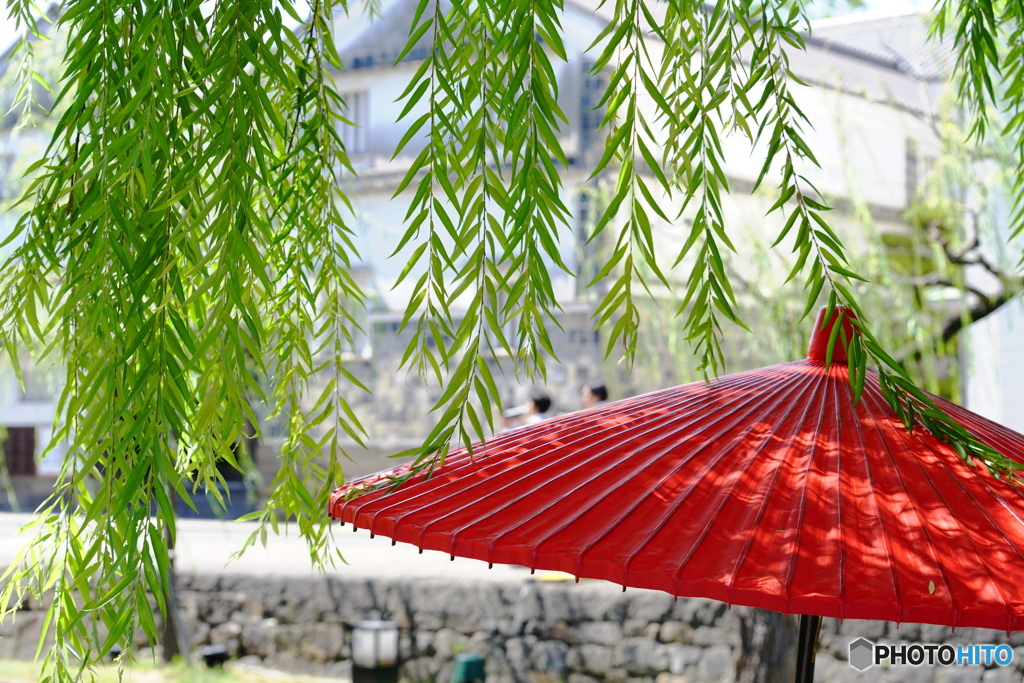 傘に降り注ぐは柳雨