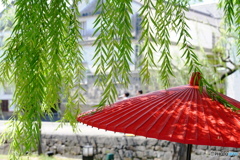 傘に降り注ぐは柳雨