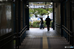 rainy day