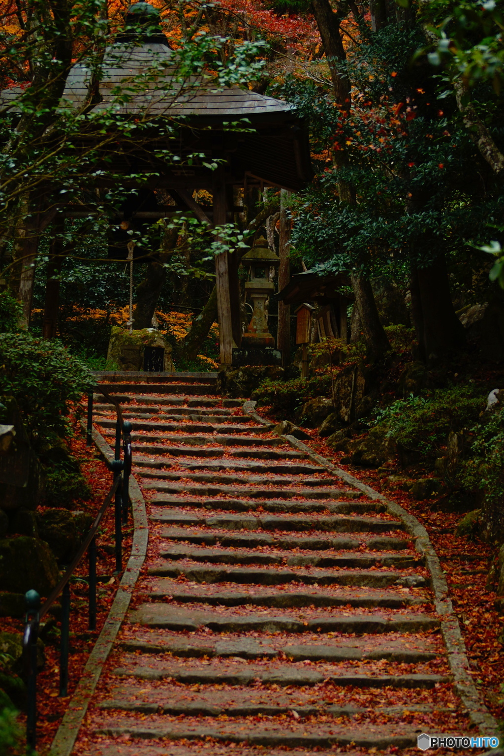 初冬の三瀧寺-2