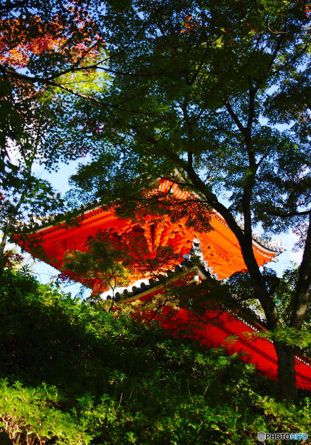 三瀧寺多宝塔