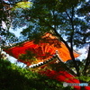 三瀧寺多宝塔