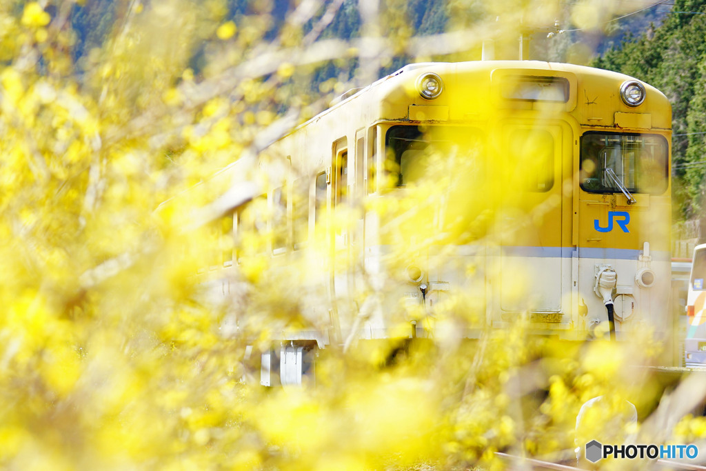 安野花の駅公園　
