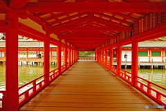 厳島神社本殿回廊