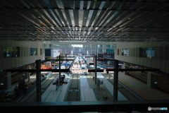 minamoa