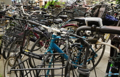 lots of bicycles