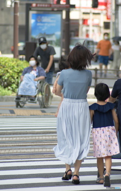 夏の親子