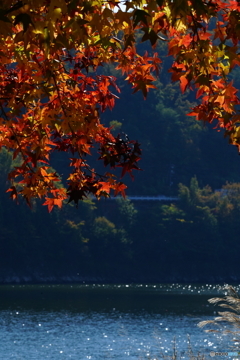 湖畔の秋彩
