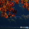 湖畔の秋彩