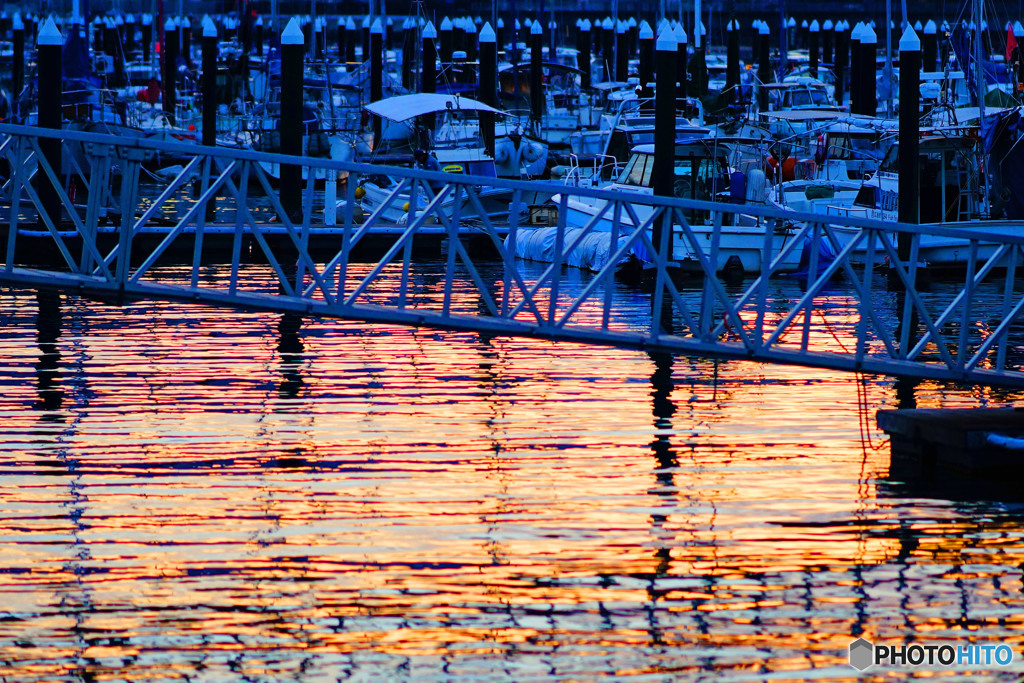 twilight harbor