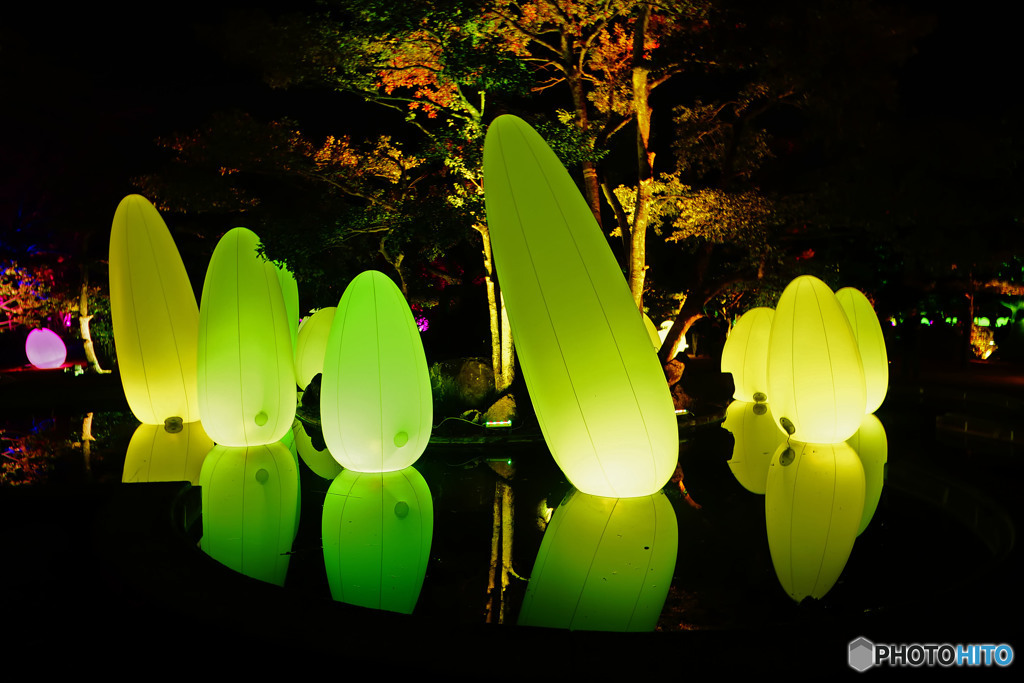 チームラボ『広島城光の祭り』