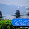 真夏のアレイからすこじま