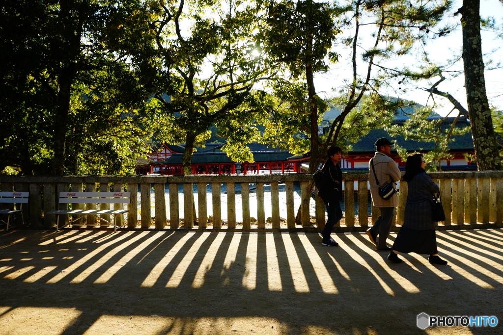 時間限定横断歩道