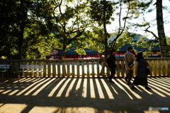 時間限定横断歩道