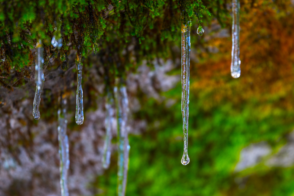 Icicles