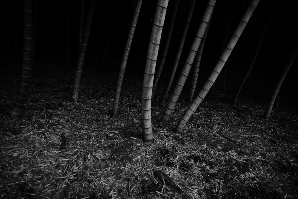「深々根々」