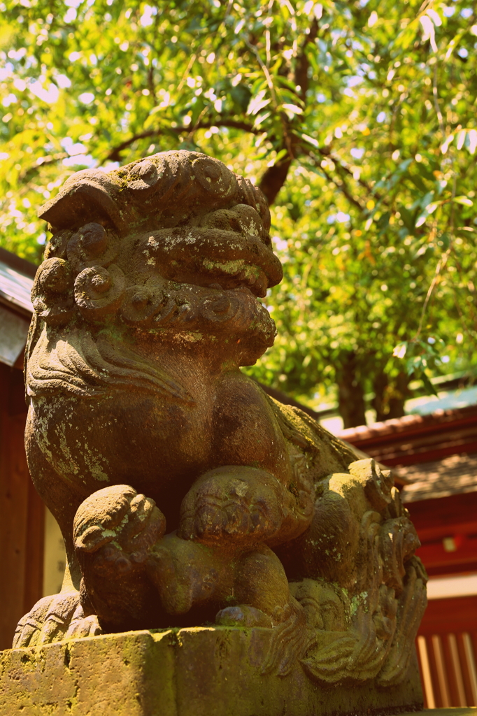 大国魂神社④