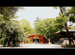 大国魂神社⑬