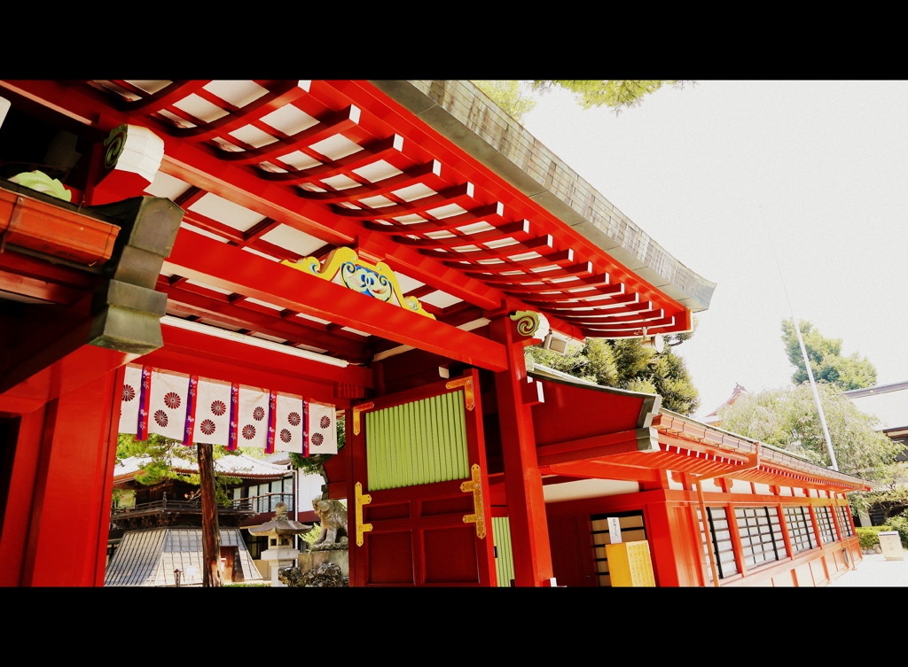 大国魂神社⑨