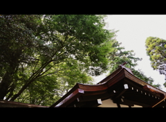 大国魂神社⑫