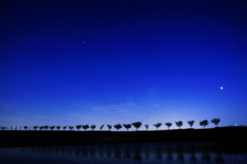 星空の片隅