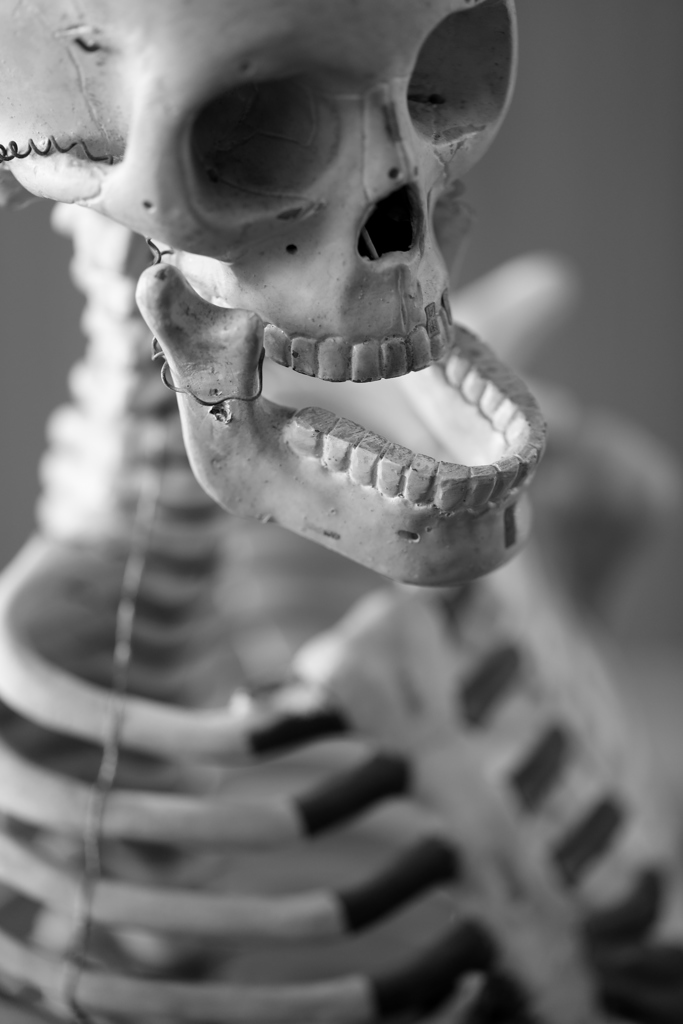 5O5A7601