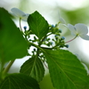軌跡