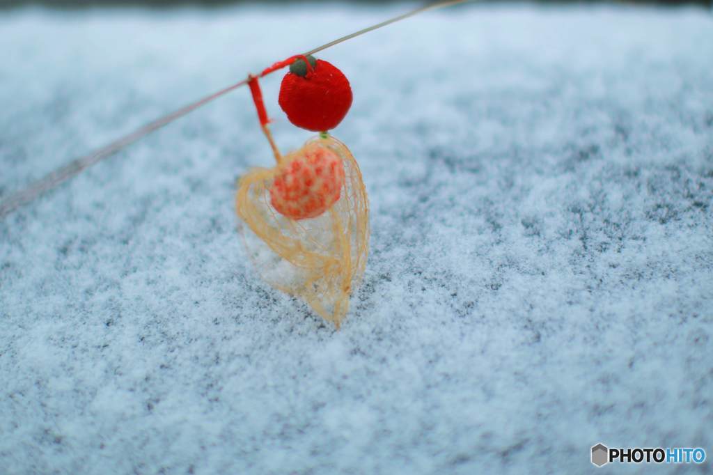 雪の華