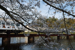 御池遊園