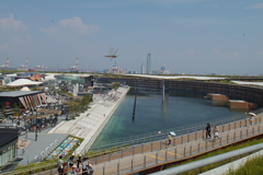 トンボ