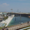 トンボ