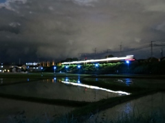 夜景