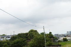 すずめ