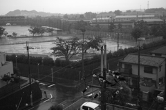 雨