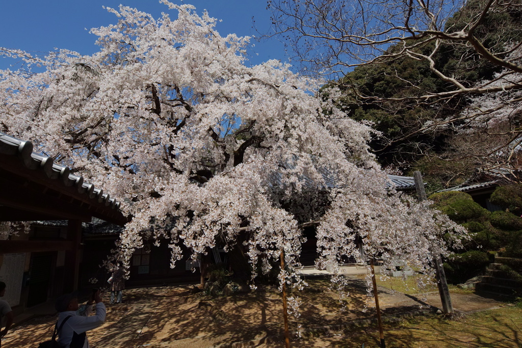 地福寺