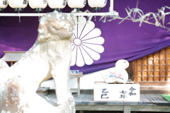 泉穴師神社
