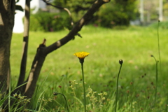 散歩