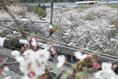 山中渓駅