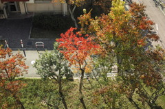 上から楽しむ