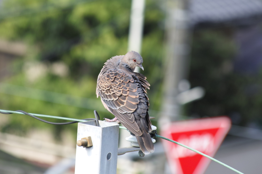 お気に入りの場所？