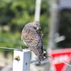 お気に入りの場所？