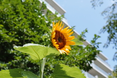 お写ん歩