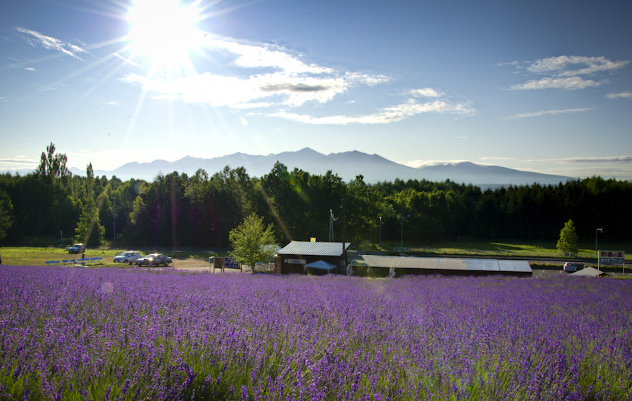 20110724-DSC_0441_2_3_4_5_6_7_adjust