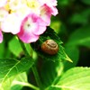 暖かな時間。