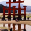 赤い柱とその周り