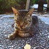 ウインク
